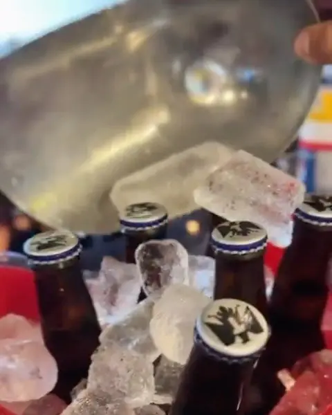 Cervezas en cubeta con hielo