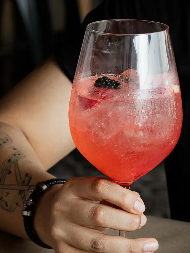 Gin frutos rojos del Torito